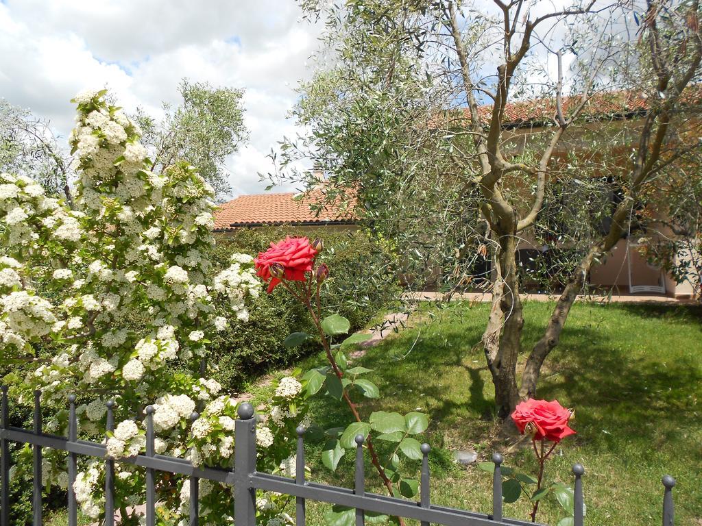 Poggio Degli Olivi Pension Saturnia Buitenkant foto