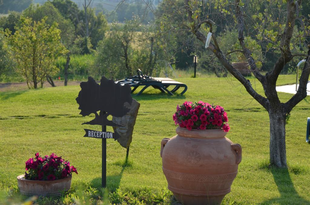 Poggio Degli Olivi Pension Saturnia Buitenkant foto